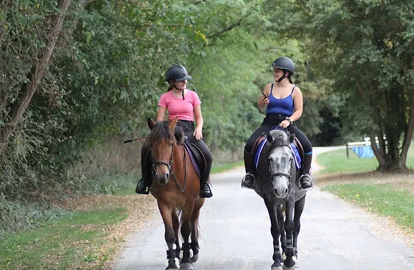 STAGE DRESSAGE GALOP 3 4 5